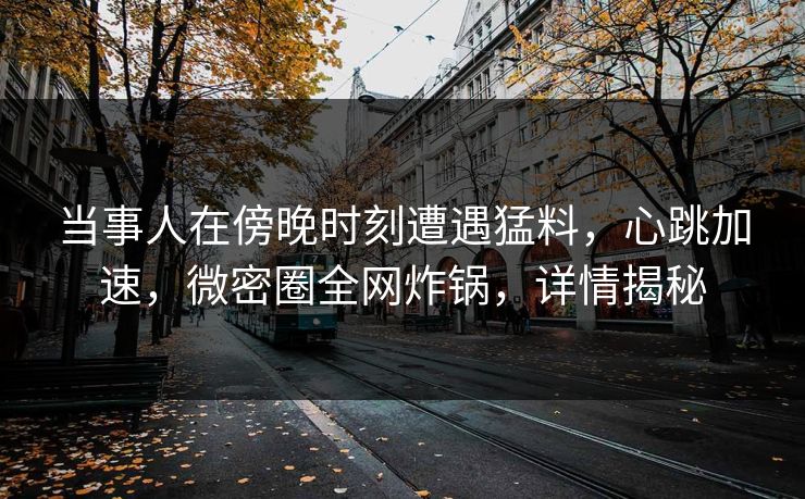 当事人在傍晚时刻遭遇猛料，心跳加速，微密圈全网炸锅，详情揭秘