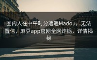 圈内人在中午时分遭遇Madou，无法置信，麻豆app官网全网炸锅，详情揭秘