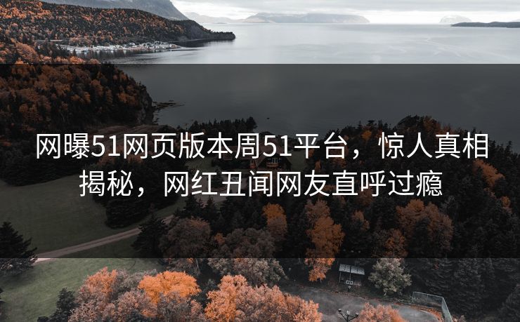 网曝51网页版本周51平台，惊人真相揭秘，网红丑闻网友直呼过瘾